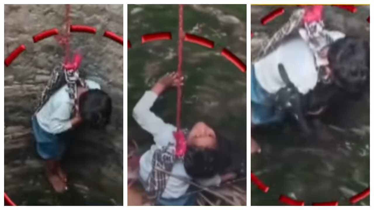 Brave Boy in Bihar Rescues Lamb from 40 Foot Well in Viral Video Brave Boy in Bihar Rescues Lamb from 40 Foot Well in Viral Video