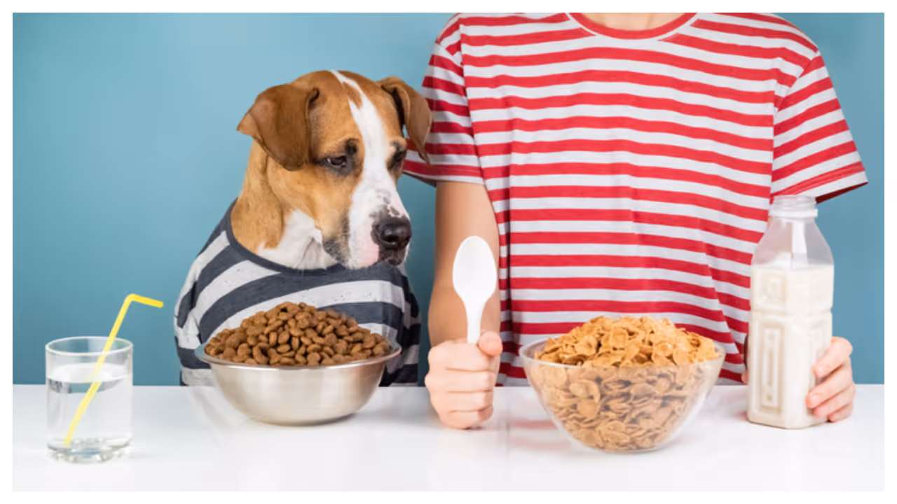 Woman Spends Rs 1.6 Lakh on Puppy’s Kindergarten Training Woman Spends Rs 1.6 Lakh on Puppy’s Kindergarten Training