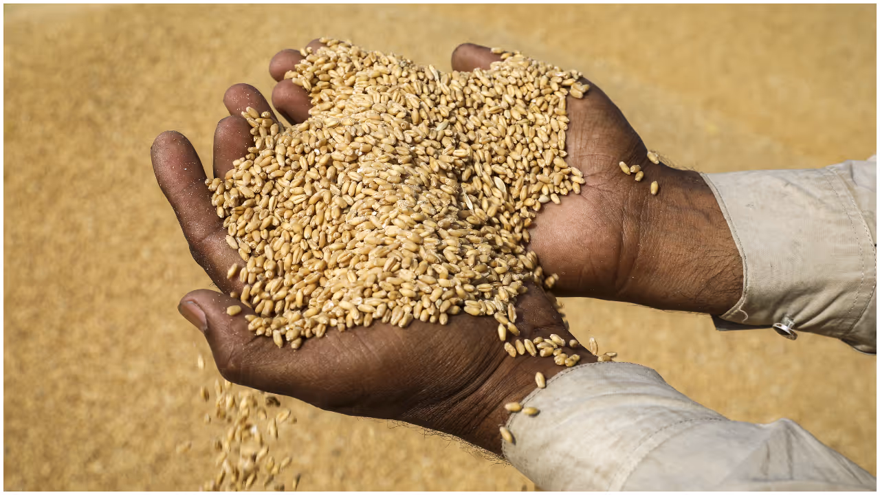 Bangladesh importing Indian Wheat Bangladesh importing Indian Wheat