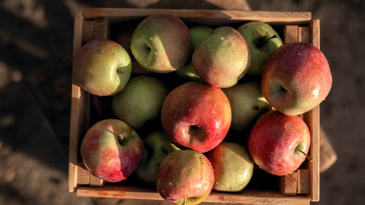These Fruits May Disrupt Your Night Health These Fruits May Disrupt Your Night Health