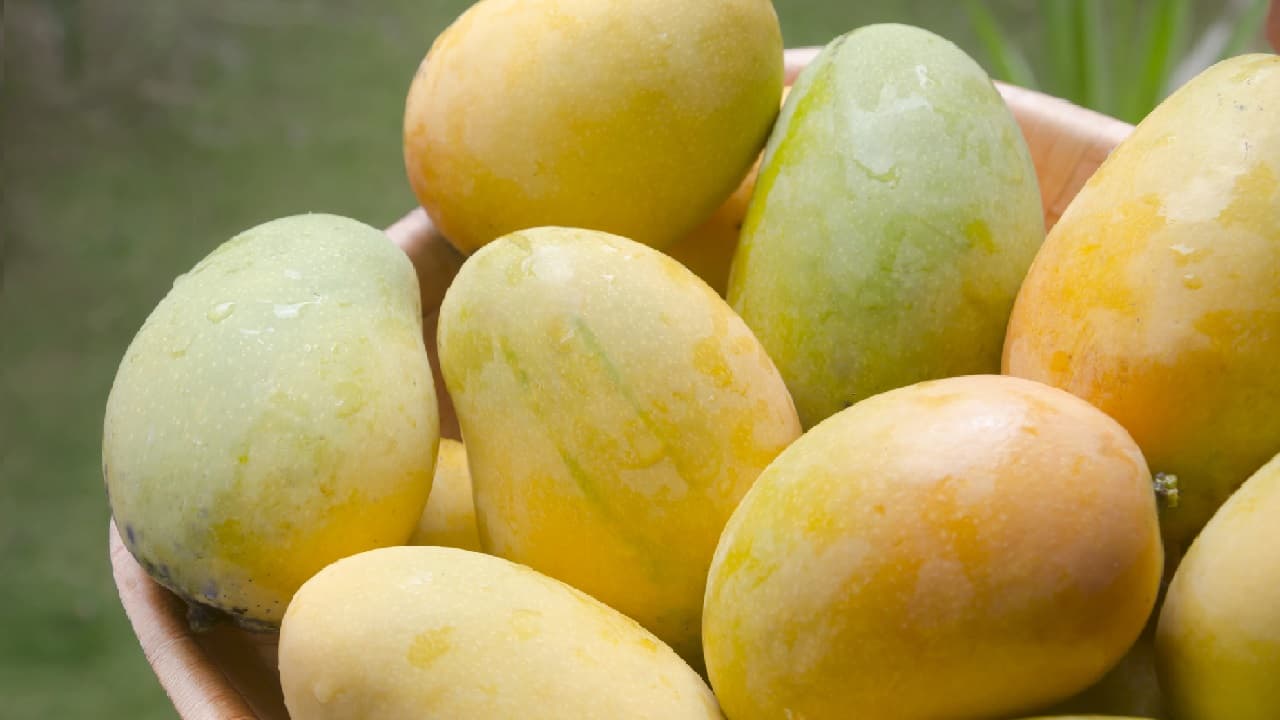 mangoes mangoes