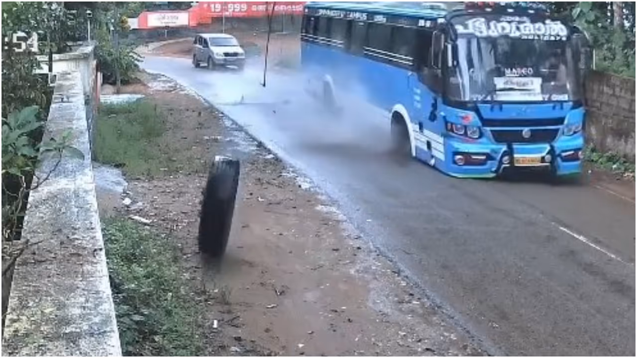 bus bus