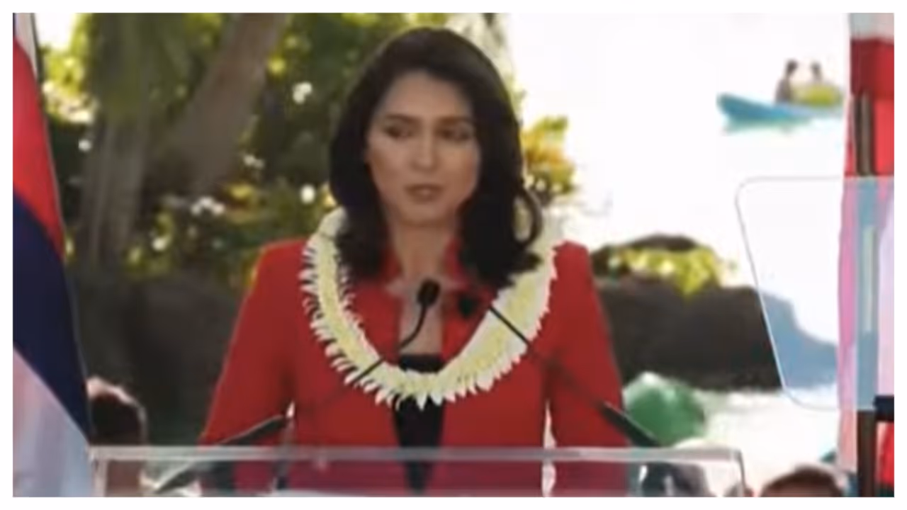 tulsi gabbard tulsi gabbard