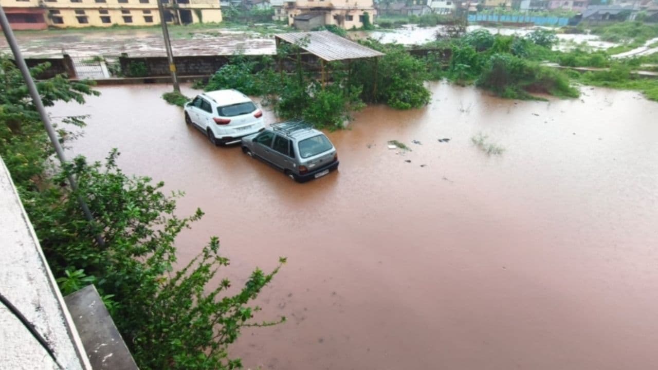 Rain Rain