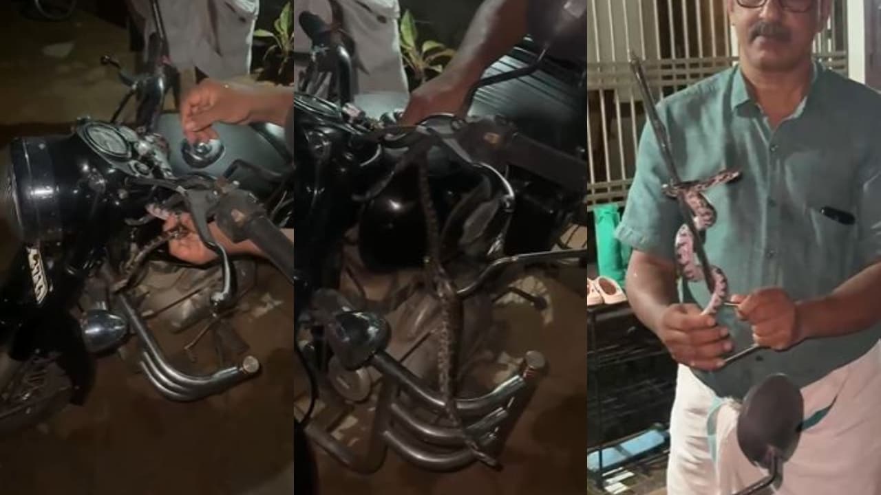 Cop Spots Python In His Bullet Cop Spots Python In His Bullet