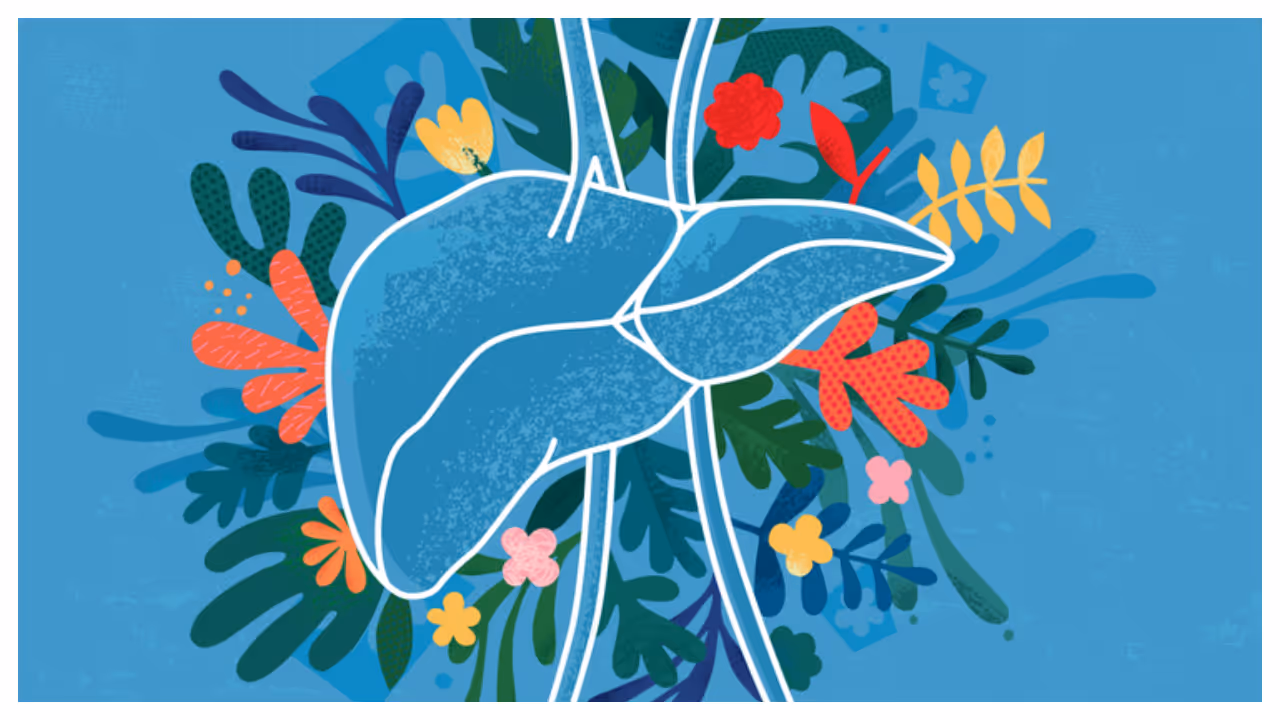 liver health liver health