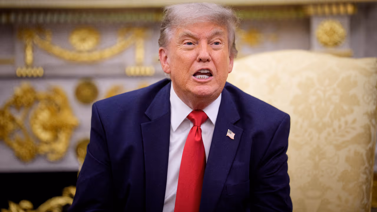 donald trump donald trump