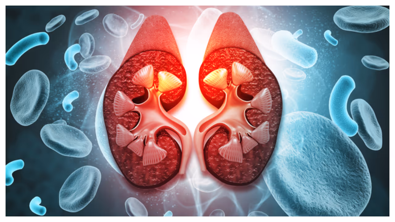 Kidney Disease Kidney Disease