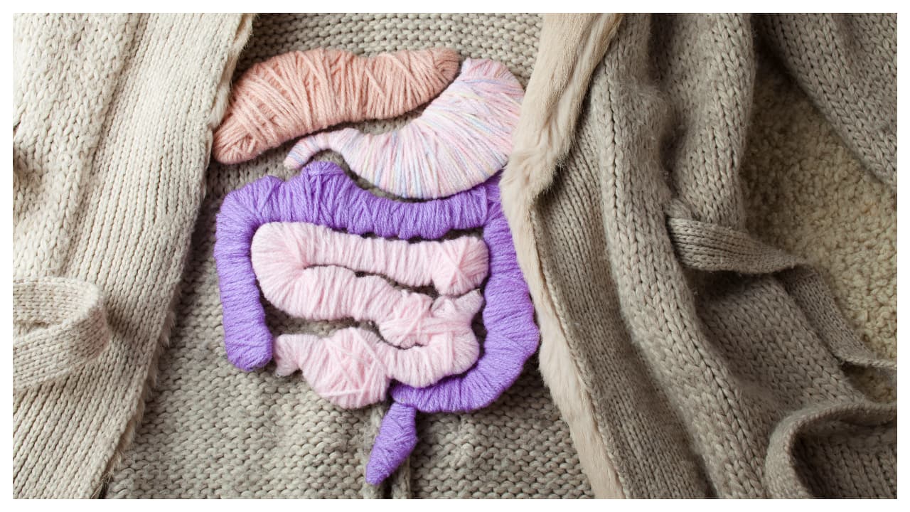 6 Easy Everyday Habits You Must Follow for Healthy Digestion 6 Easy Everyday Habits You Must Follow for Healthy Digestion