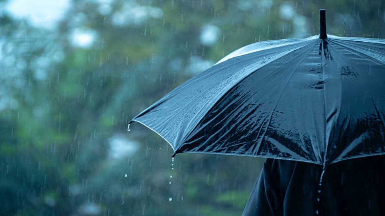 Rain Rain