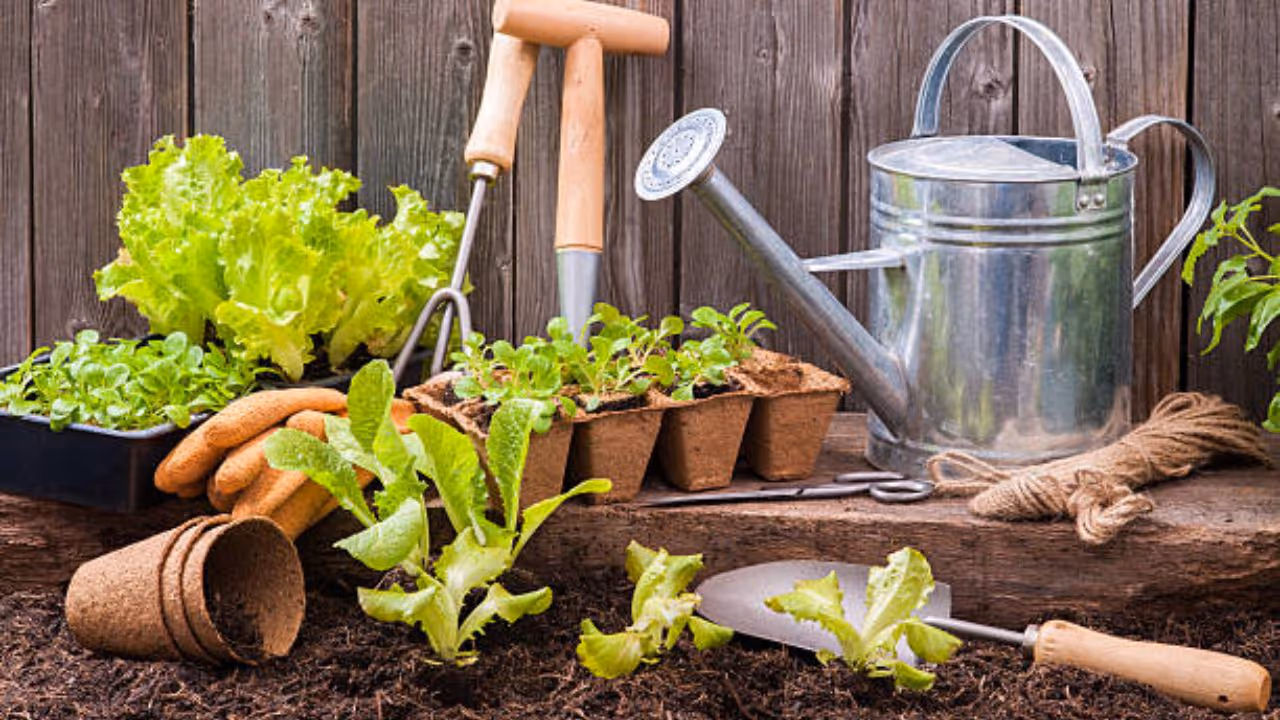 Top Gardening Tools Top Gardening Tools