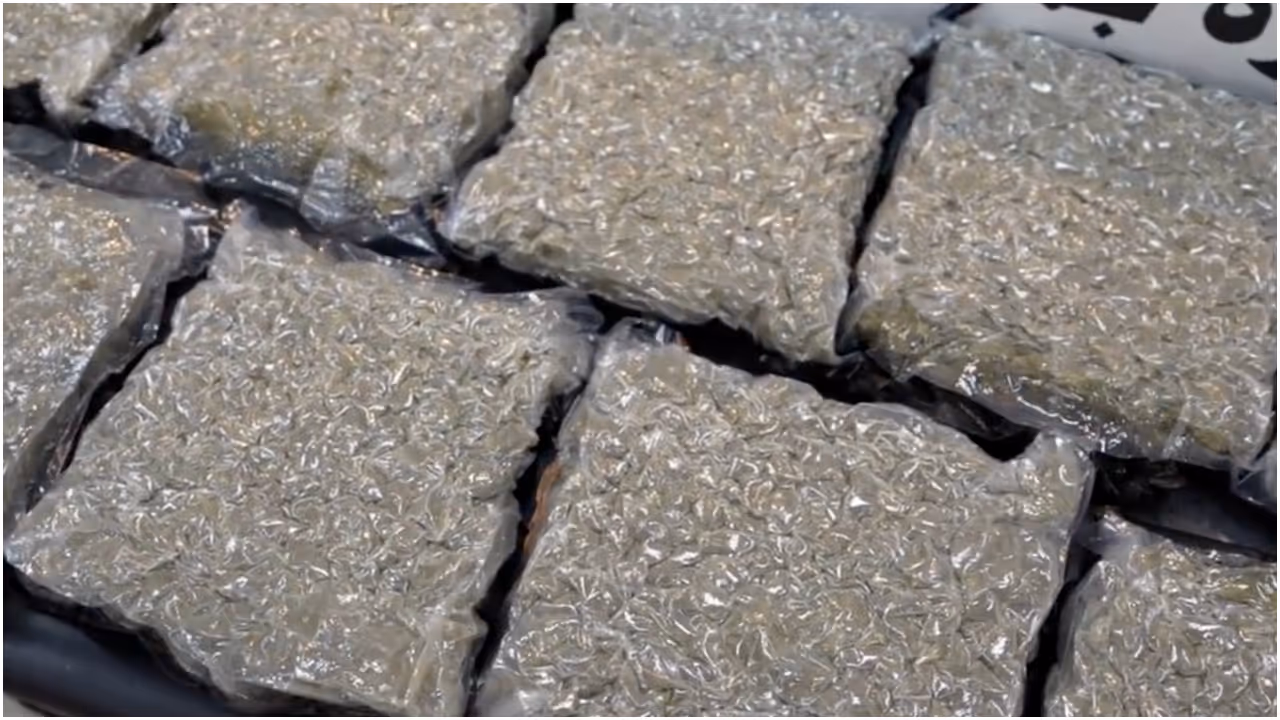 Indian National Arrested in Kuwait for Cannabis Smuggling Attempt Indian National Arrested in Kuwait for Cannabis Smuggling Attempt