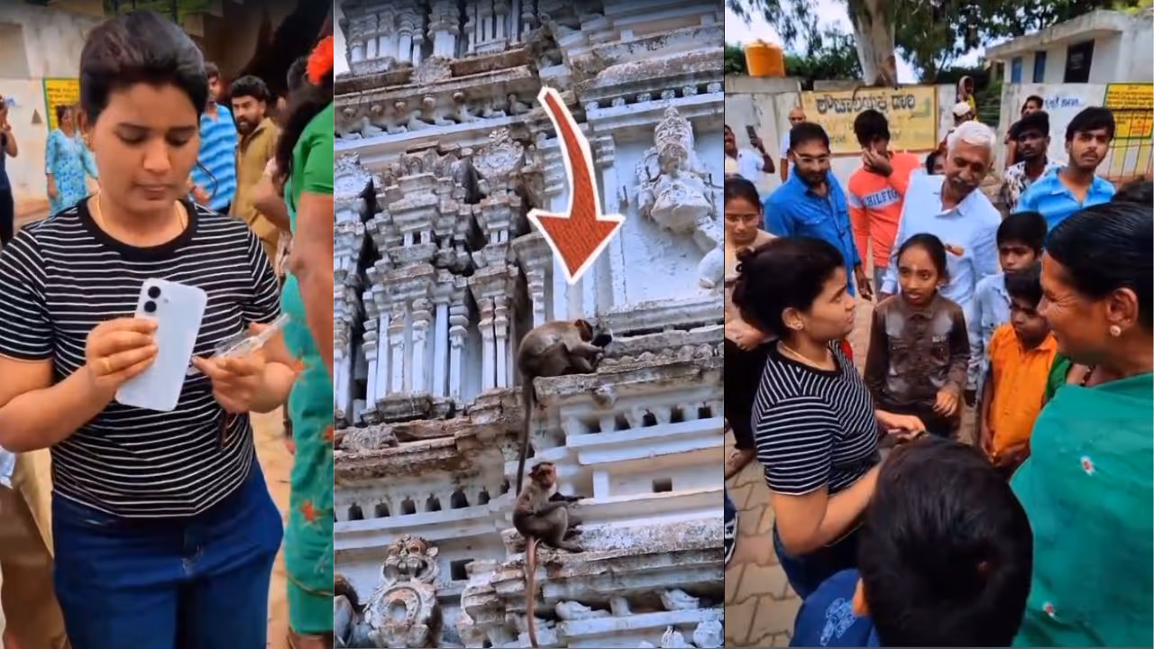 Monkey snatches woman's phone at Shivagange Hill temple Monkey snatches woman's phone at Shivagange Hill temple