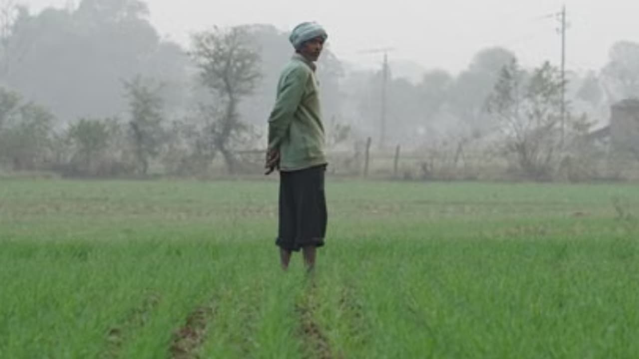 farmer farmer