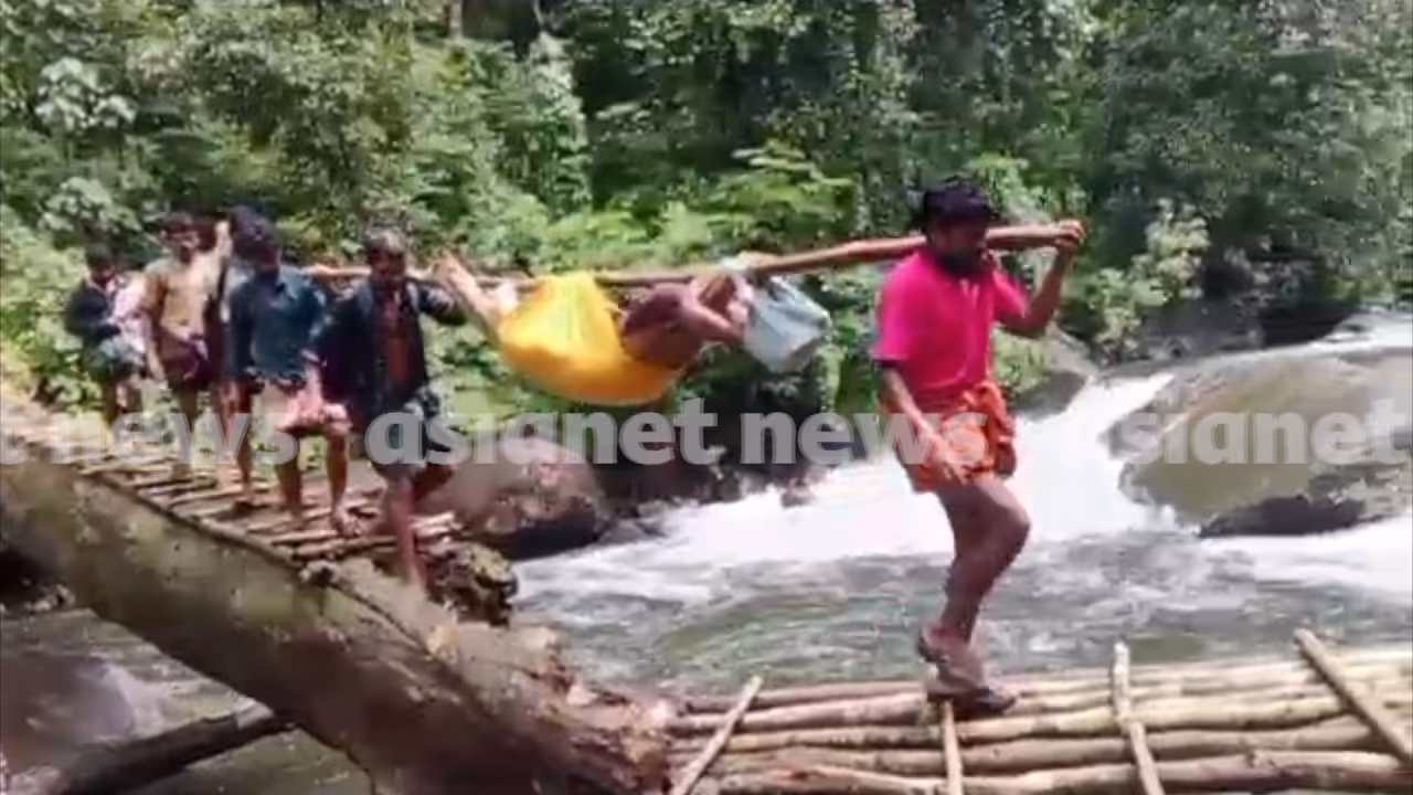Ailing Man Carried 4km Through Kerala Forest Due to Lack of Road Access Ailing Man Carried 4km Through Kerala Forest Due to Lack of Road Access