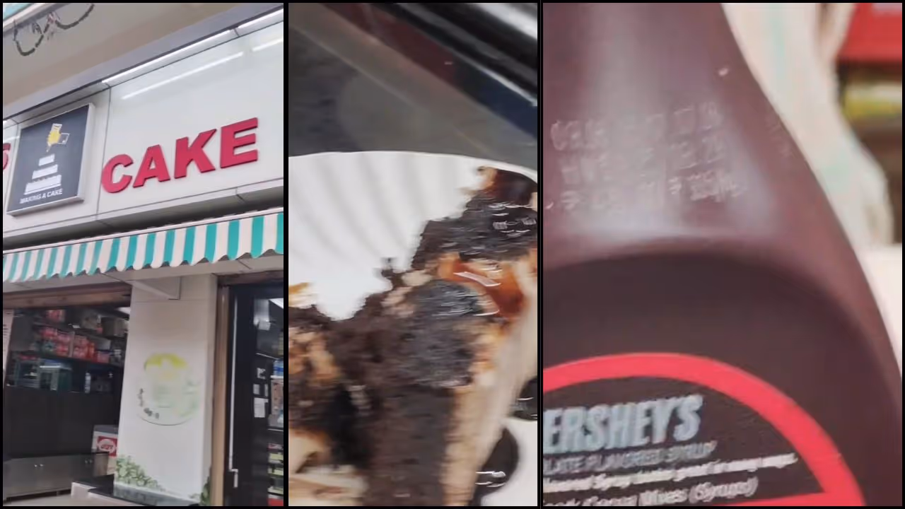 Expired sauce in cake, lizard found in vada spark food safety scare Expired sauce in cake, lizard found in vada spark food safety scare