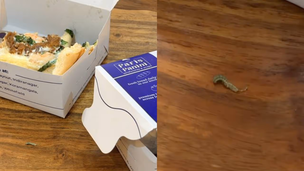 Bengaluru Woman Finds Live Caterpillar in Cafe Meal Sparks Outrage Bengaluru Woman Finds Live Caterpillar in Cafe Meal Sparks Outrage