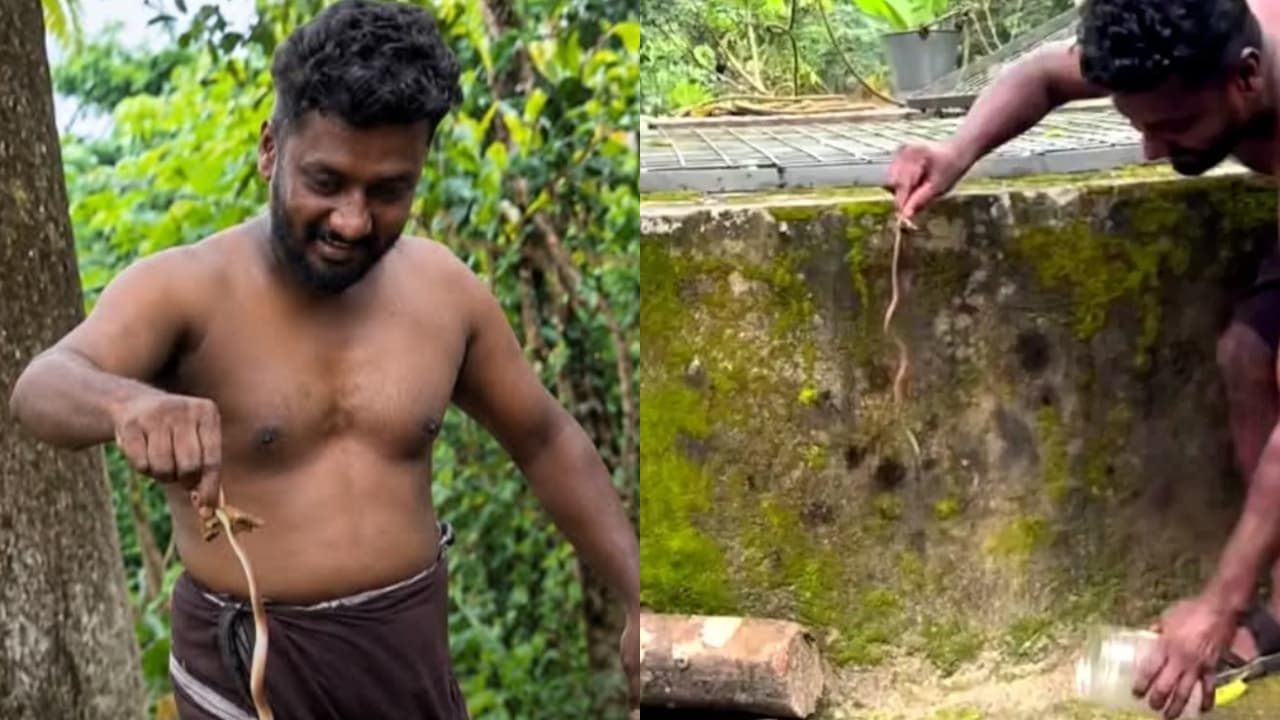 Kollam Youth Brings Live Snake To Hospital After Getting Bitten Kollam Youth Brings Live Snake To Hospital After Getting Bitten