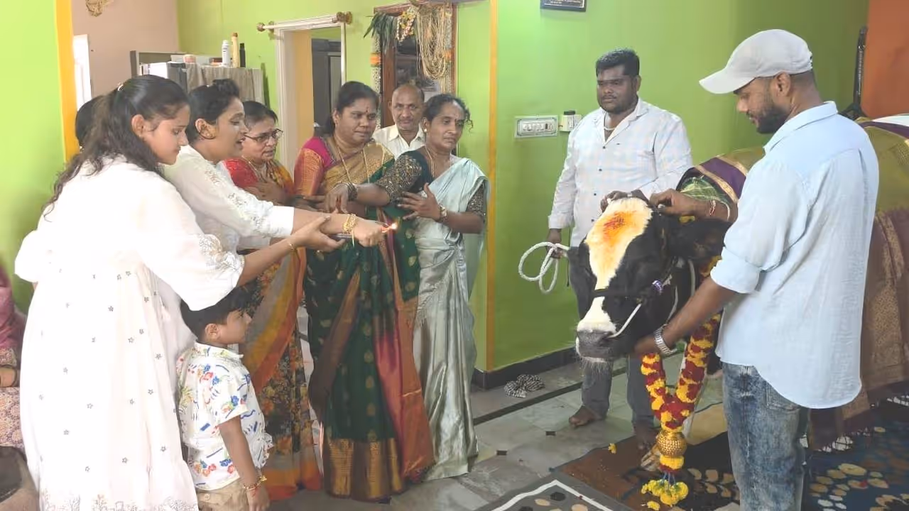 Karnataka family hosts a traditional baby shower for their pregnant cow Karnataka family hosts a traditional baby shower for their pregnant cow