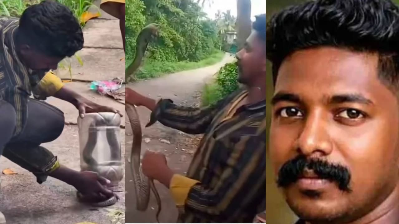 Chirayinkeezhu Snake Catcher Dies After Rescued Cobra Bites Him At Home Chirayinkeezhu Snake Catcher Dies After Rescued Cobra Bites Him At Home