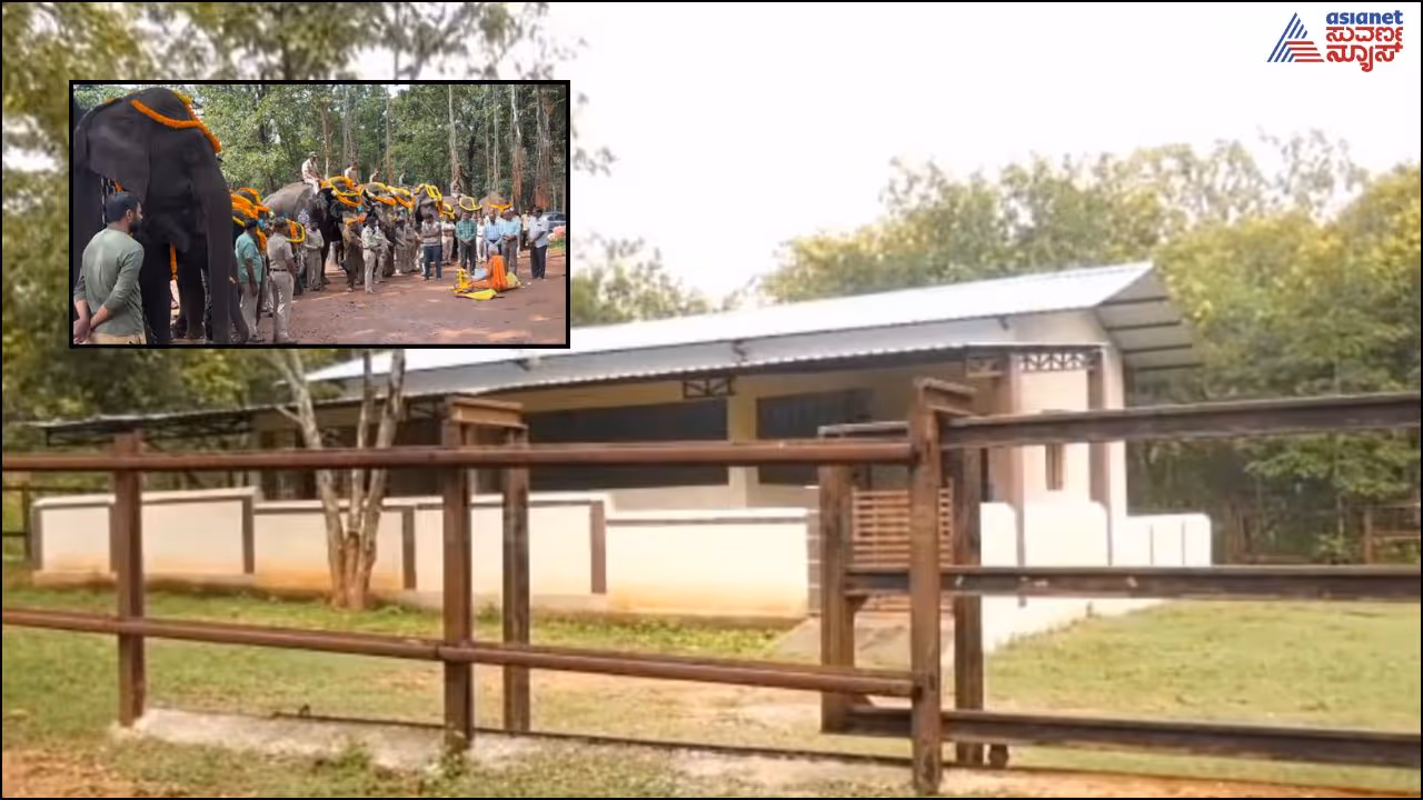 Budipadaga elephant camp in Karnataka remains shut amid delays Budipadaga elephant camp in Karnataka remains shut amid delays