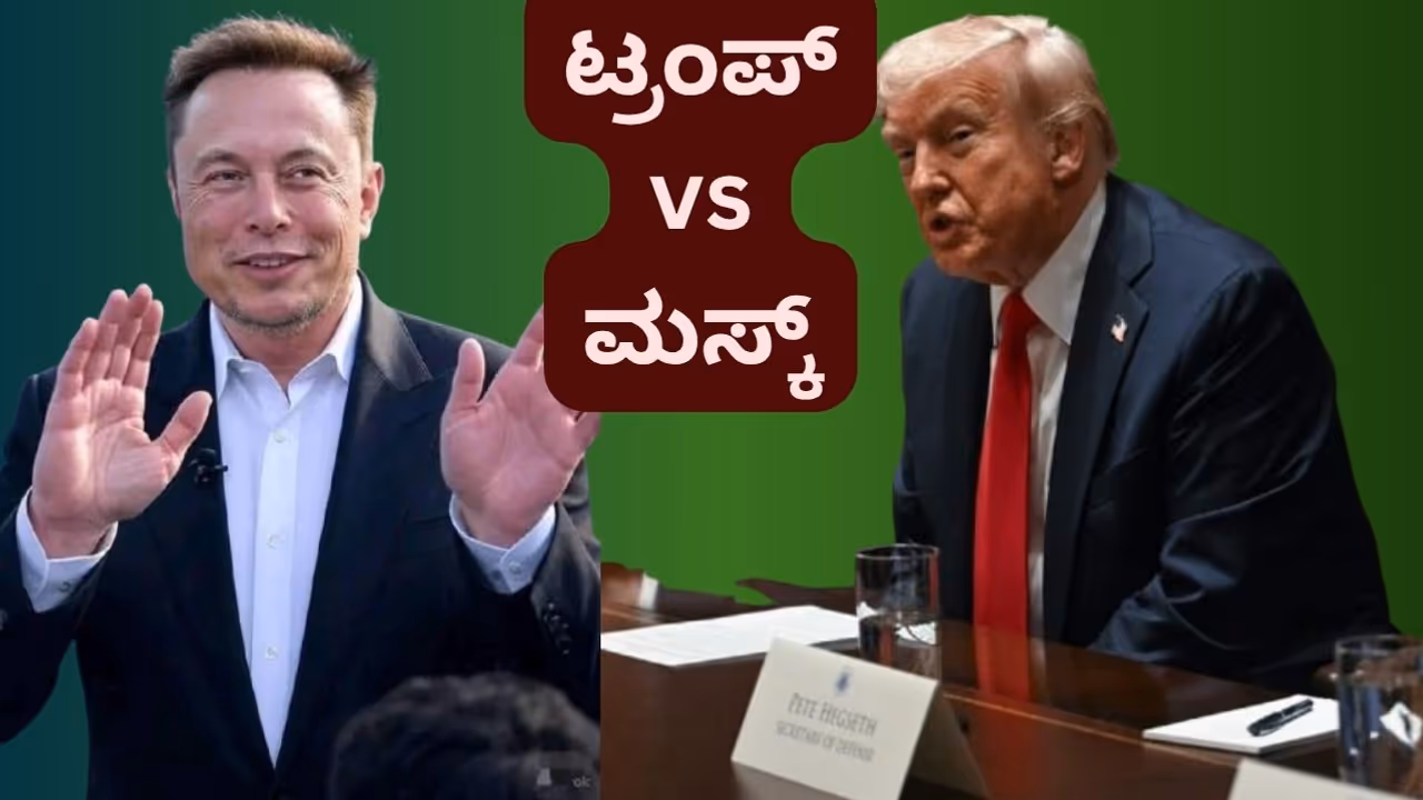 Donald Trump Elon Musk