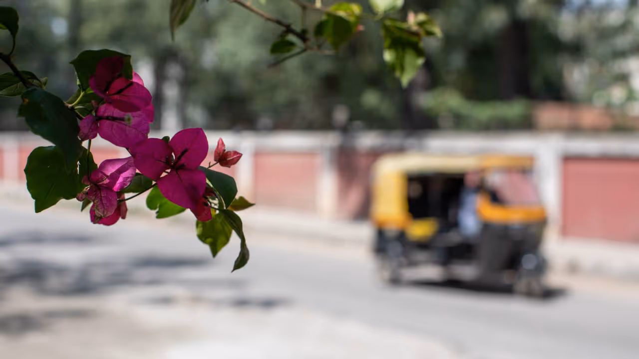 bengaluru auto/ Representative image bengaluru auto/ Representative image