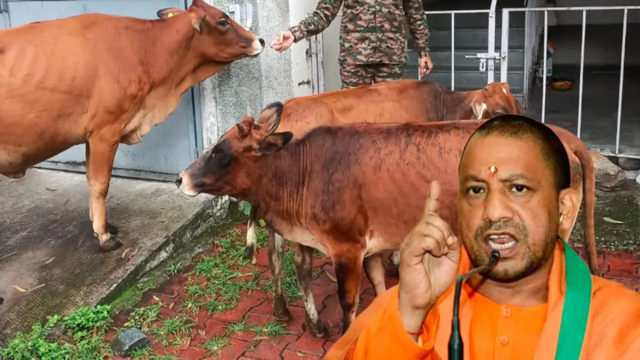 CM Yogi Adityanath