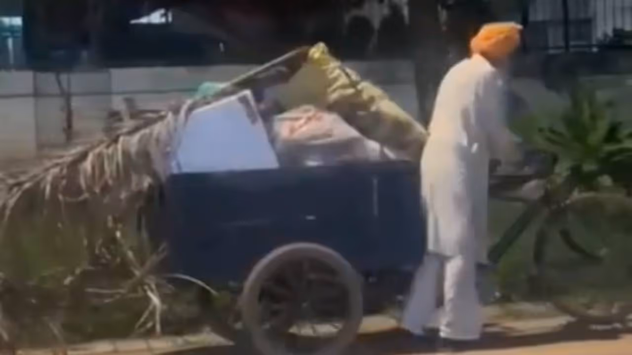 viral video viral video