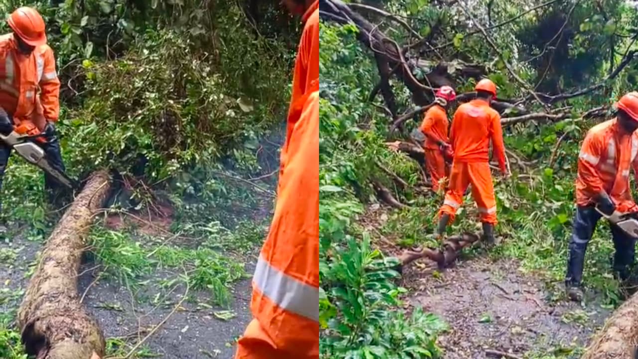 kerala raim havoc kerala raim havoc