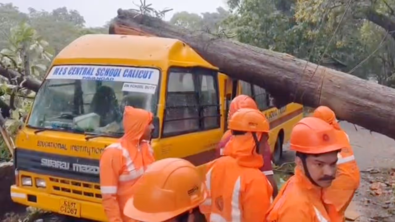tree fell on bus tree fell on bus