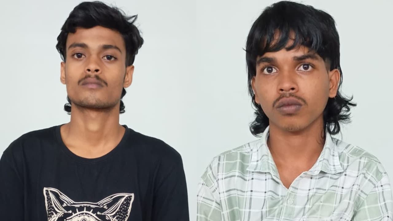 Ganja Case Ganja Case