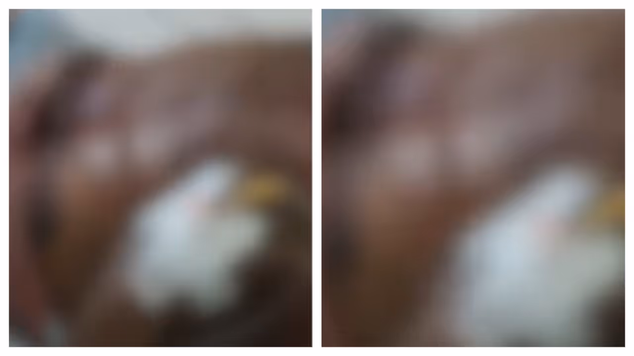 stabbed attack stabbed attack