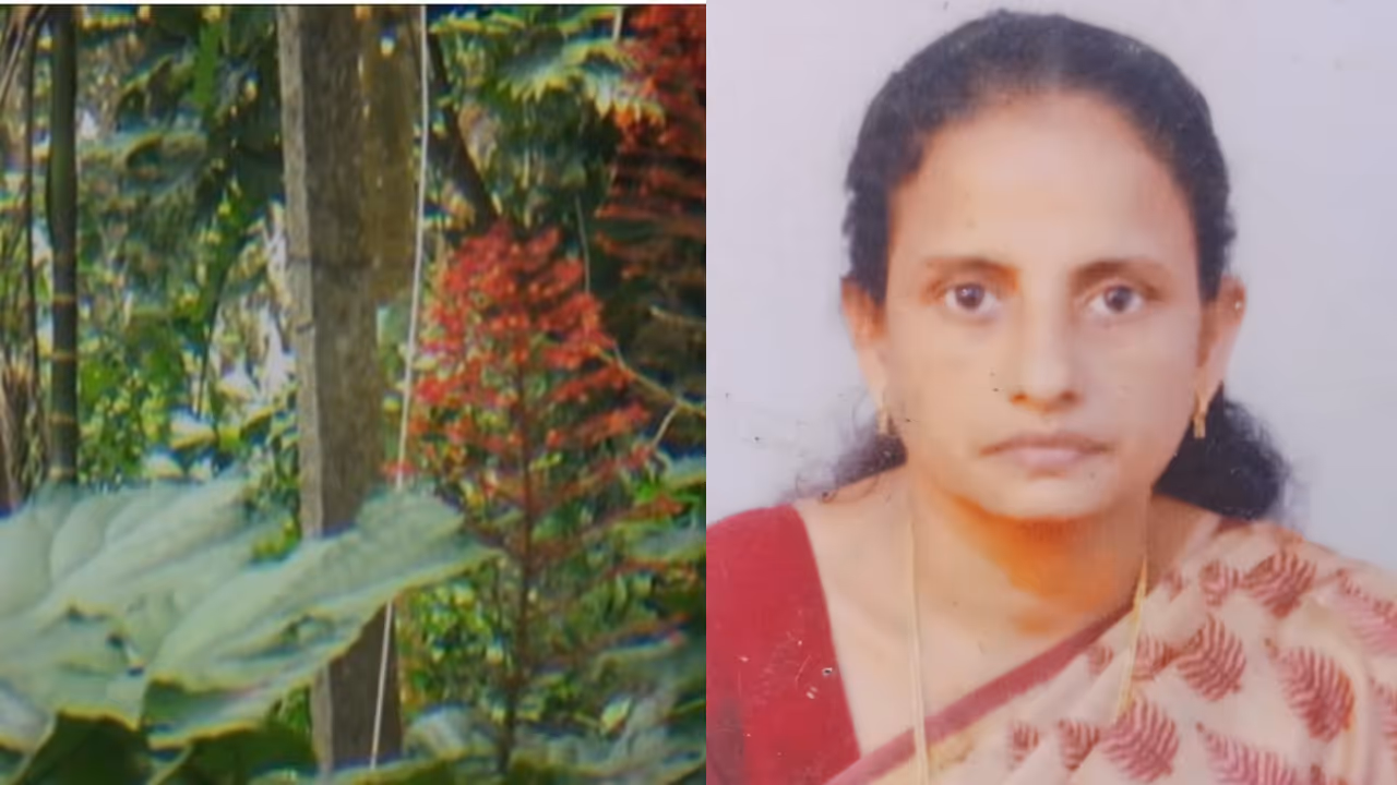 Woman dies of electrocution Woman dies of electrocution