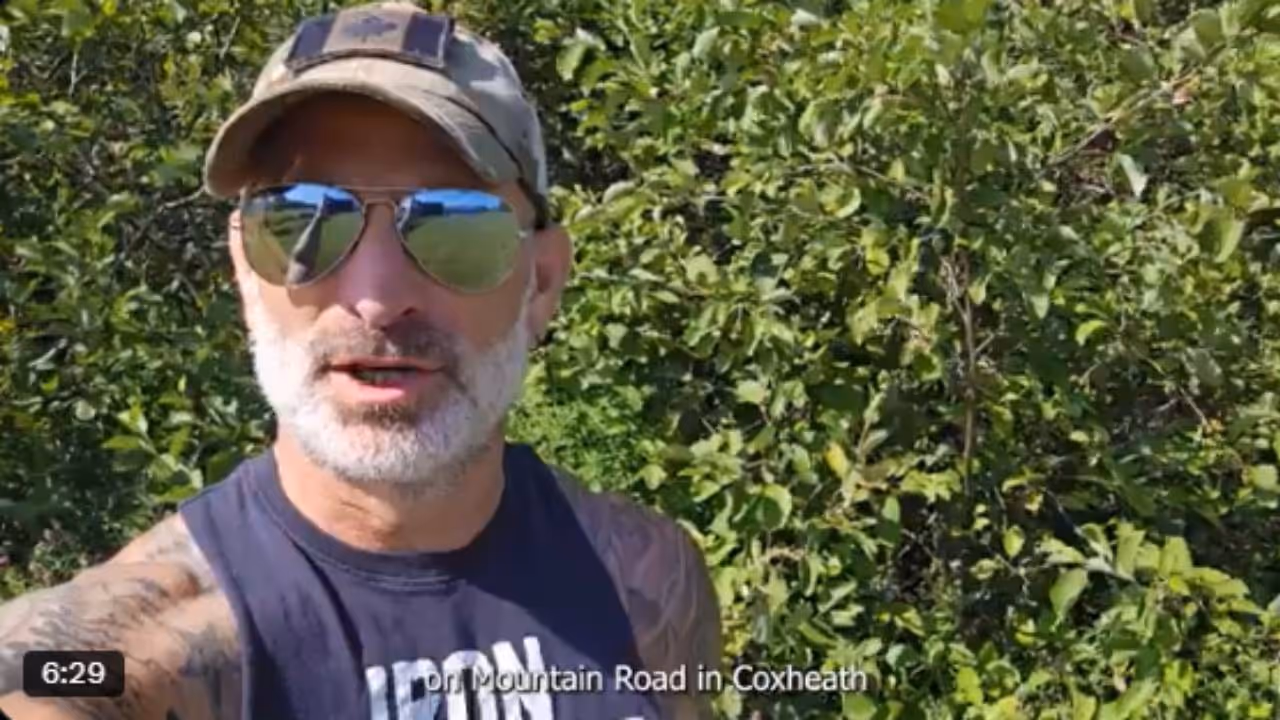 Jeff Evely Jeff Evely