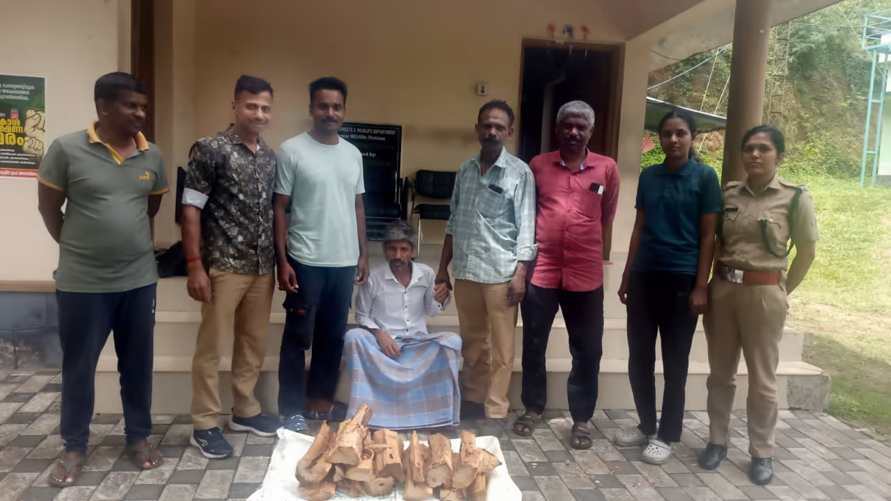 sandalwood smuggling