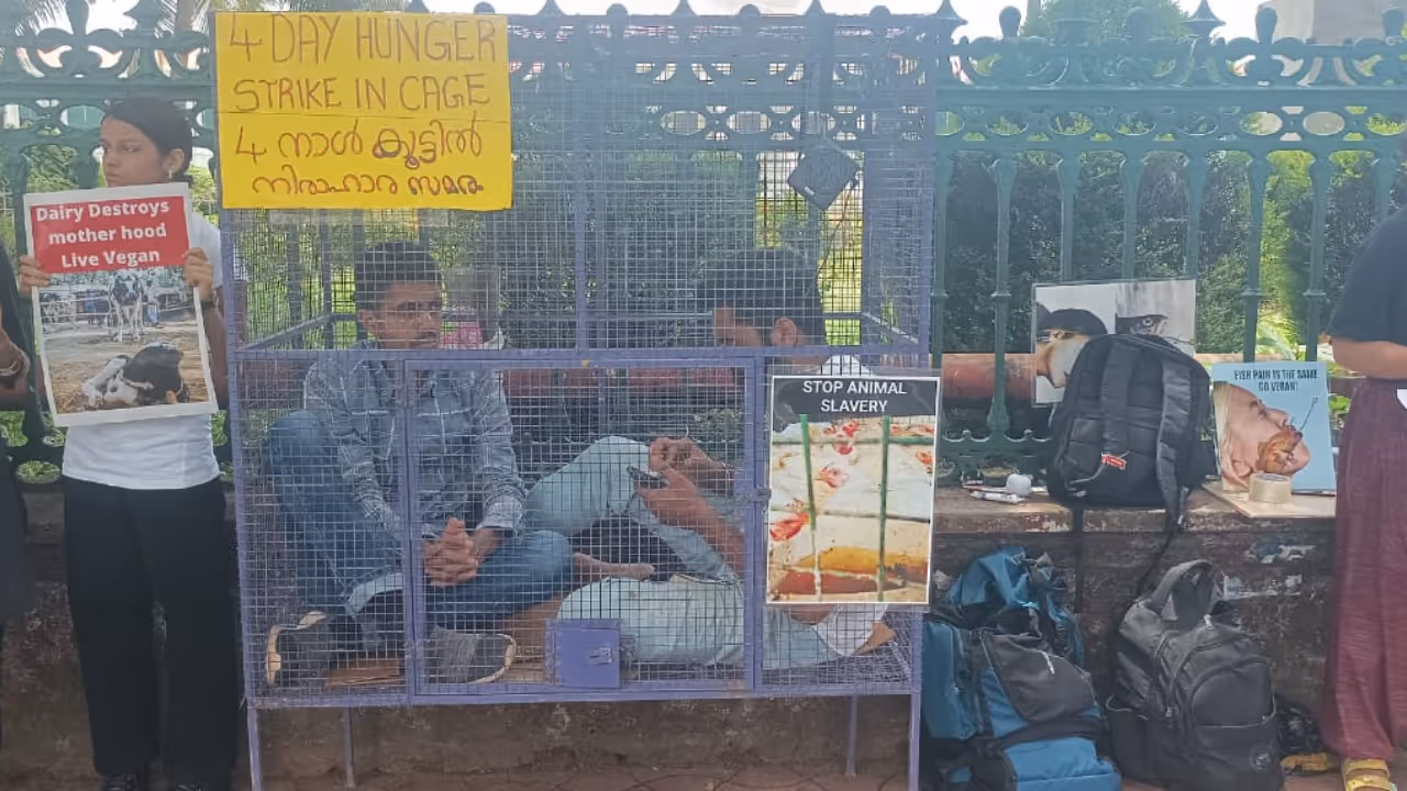 Hunger Strike Hunger Strike