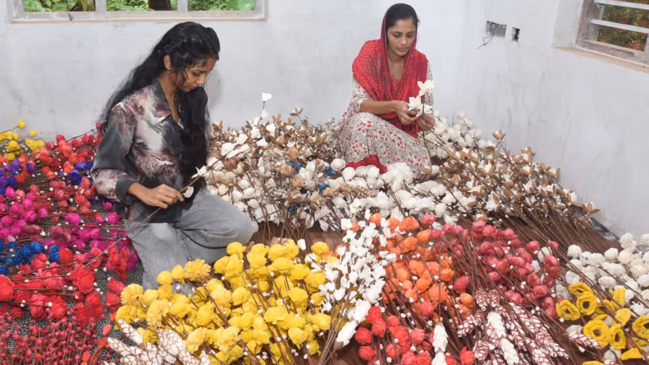 shahina malappuram craft 