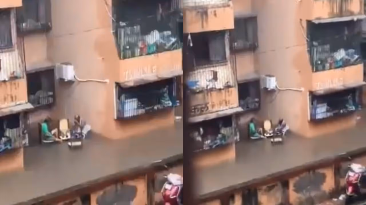 viral video viral video