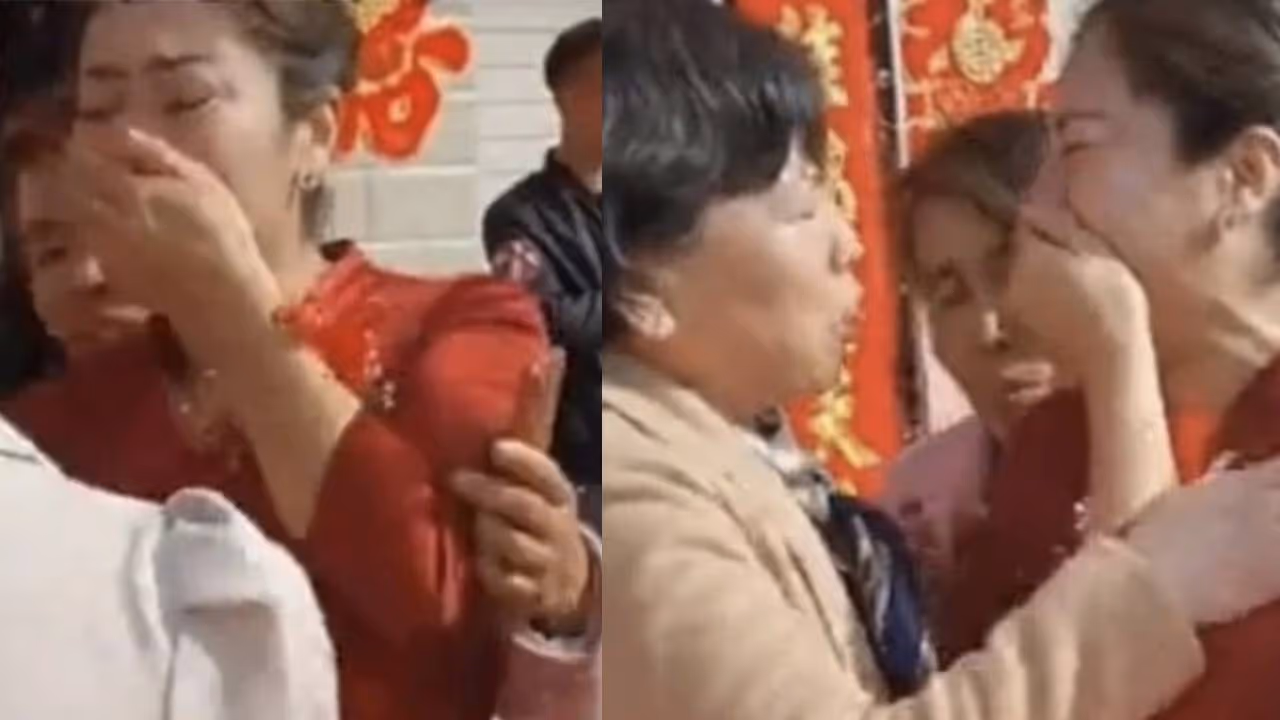 viral image viral image