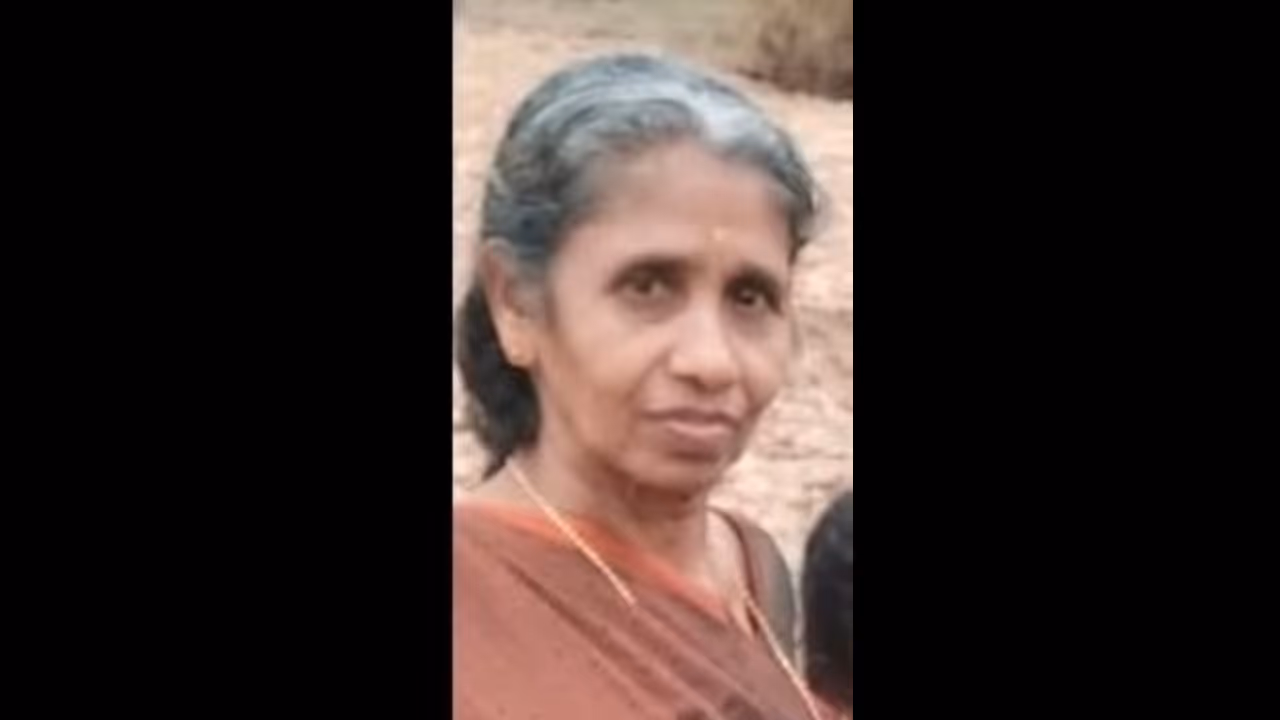 malappuram wild elephant attack 