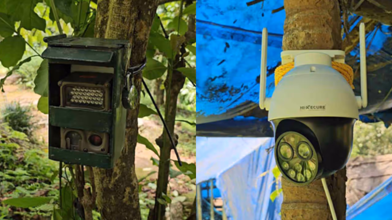 tiger spotted in karuvarakundu