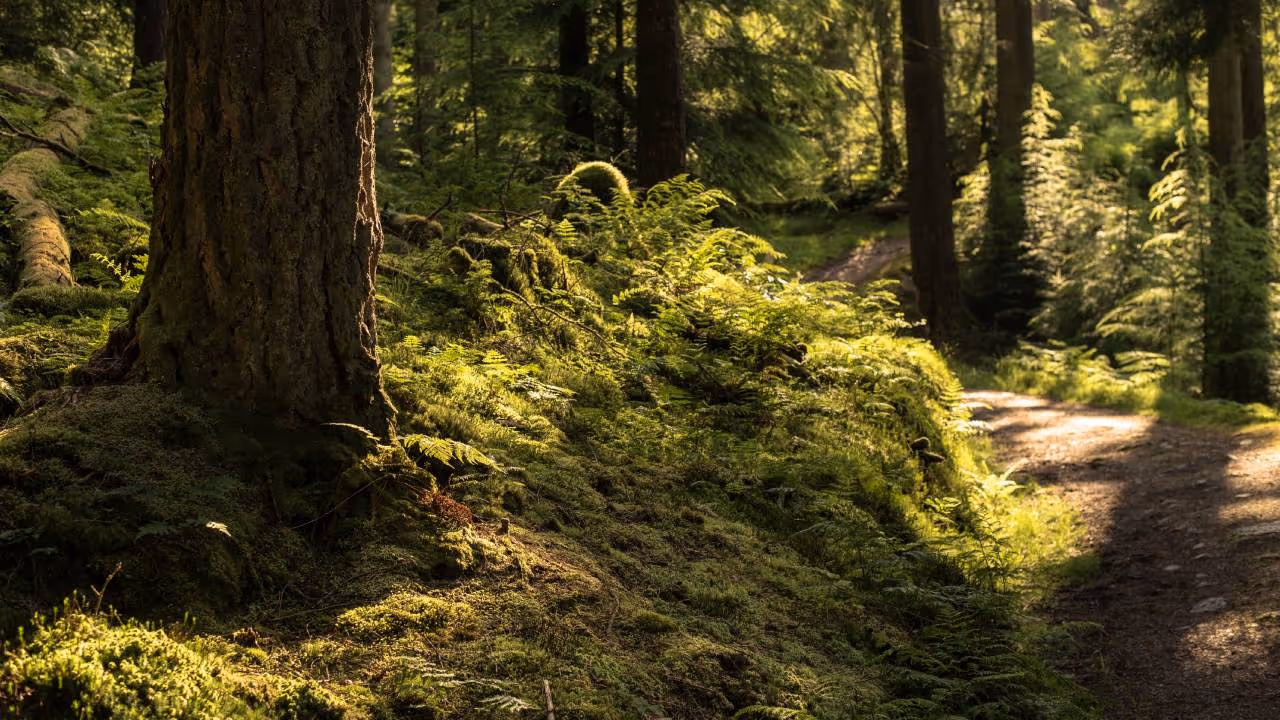 Representative image Representative image