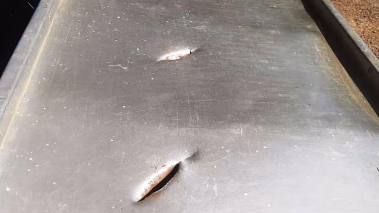 fish shop attack fish shop attack