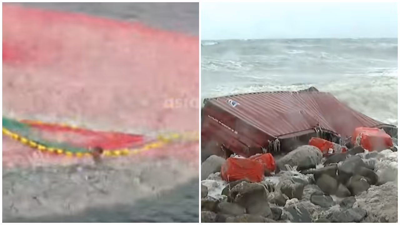 msc elsa ship container