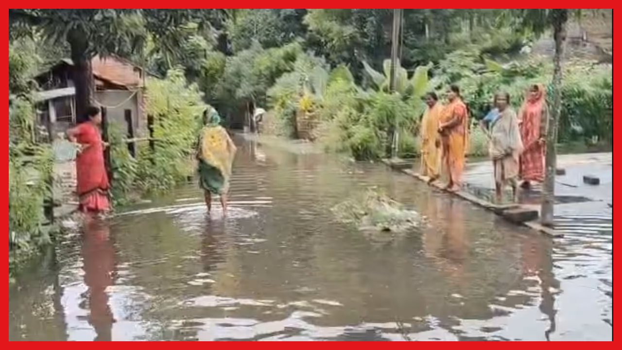 Locals facing waterlogging problems in Shantipur, Nadia Locals facing waterlogging problems in Shantipur, Nadia