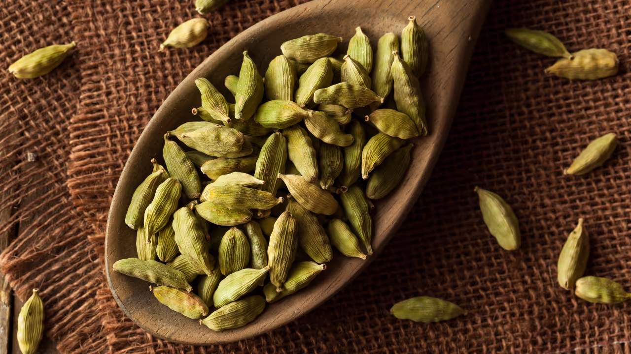 cardamom cardamom
