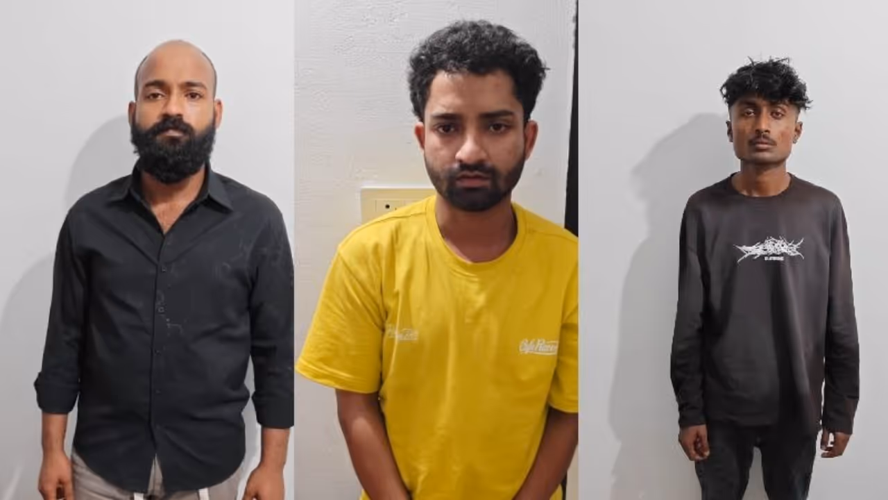 brothers arrested with mdma brothers arrested with mdma