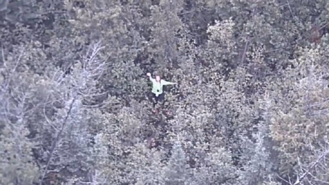 woman missing in Michigan forest