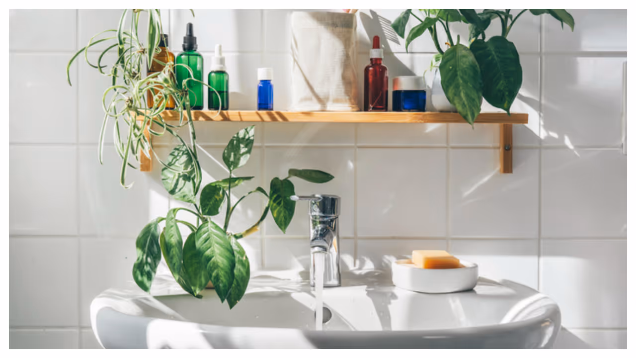 bathroom wash bathroom wash